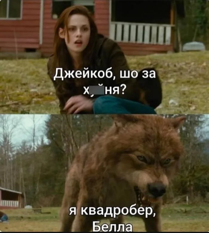 So that's where quad bikes came from))) - Picture with text, Screenshot, Humor, Quad Bearers, Twilight (film)