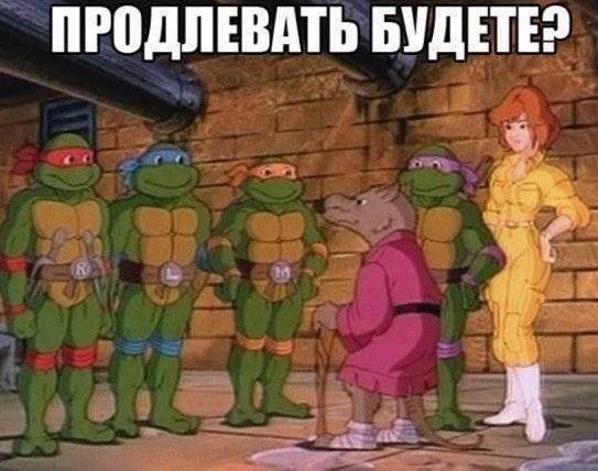 Will you renew it? - Humor, Memes, Picture with text, Teenage Mutant Ninja Turtles, Pimp, Telegram (link)