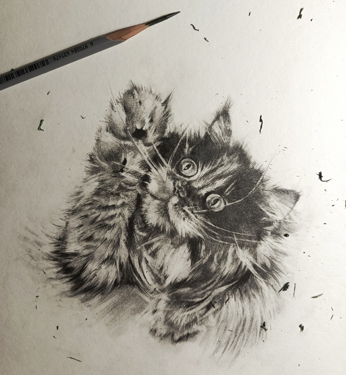 ��� �����