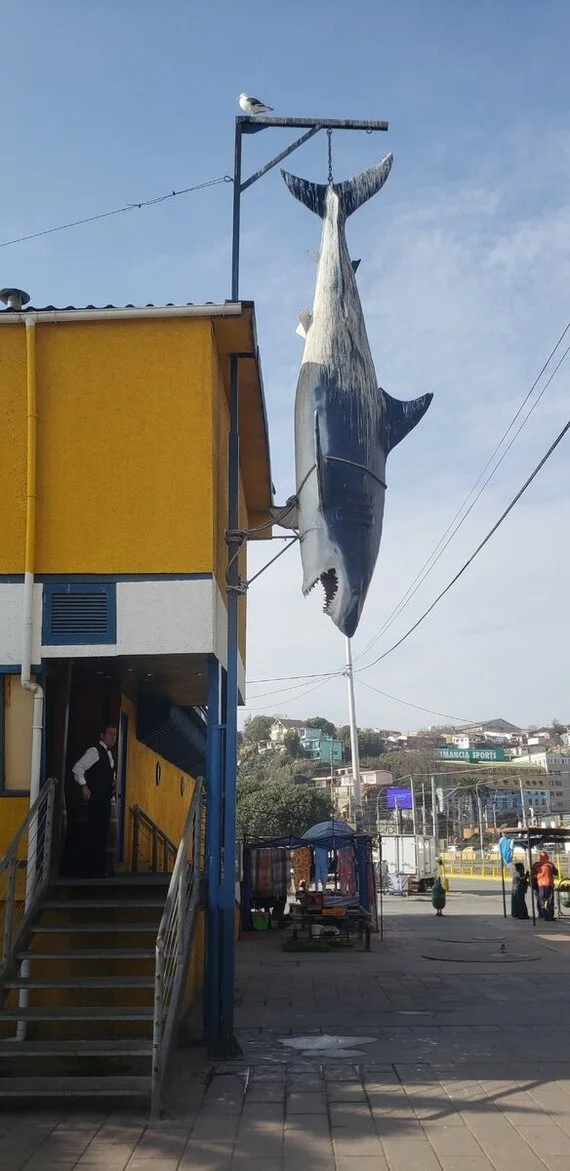 The Valparaiso waterfront. Cities of artists, musicians and port workers - My, Solo travel, Bike trip, Travels, A bike, South America, Chile, Valparaiso, Andes, Bike ride, Cyclist, Ocean, Pacific Ocean, Pelican, The rocks, Walk, City walk, Video, Youtube, Longpost