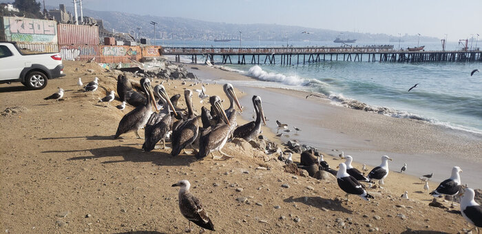 ���� �� ���� �����