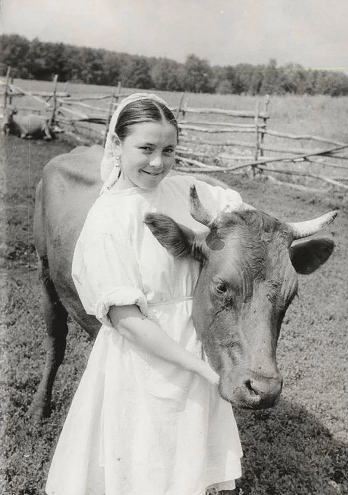 Milkmaid with record-breaking cow Maya. Malenkov collective farm, Novoye Mansurkino village, Pokhvistnevsky district, 1956 - Milkmaid, Cow, Collective farm, Village, Village, Сельское хозяйство, Childhood in the USSR, the USSR, Made in USSR, Strong girl, Telegram (link)