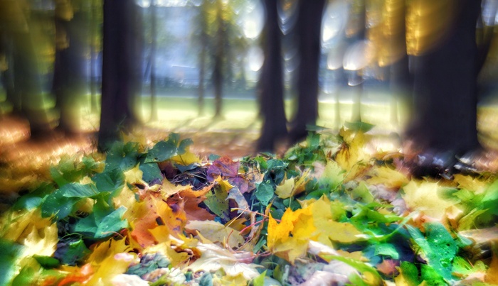 сломанным объктивом