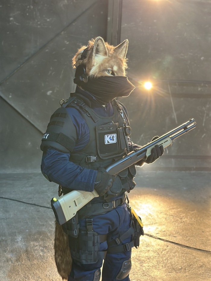     , , Furry Canine, Furry wolf, ,  , ,  , , 