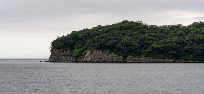 Остров Русский