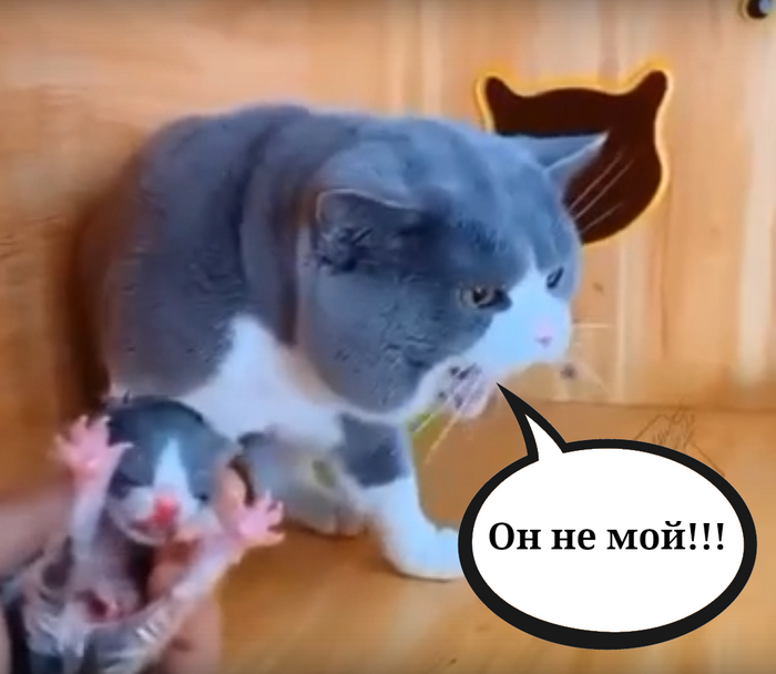 ��������������� - ��� ���������, �� �� ����, ��� ���� �������