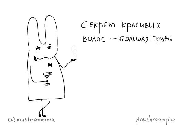    , , , Telegram ()