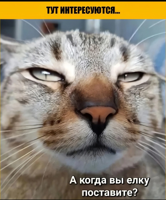   , ,   ,  