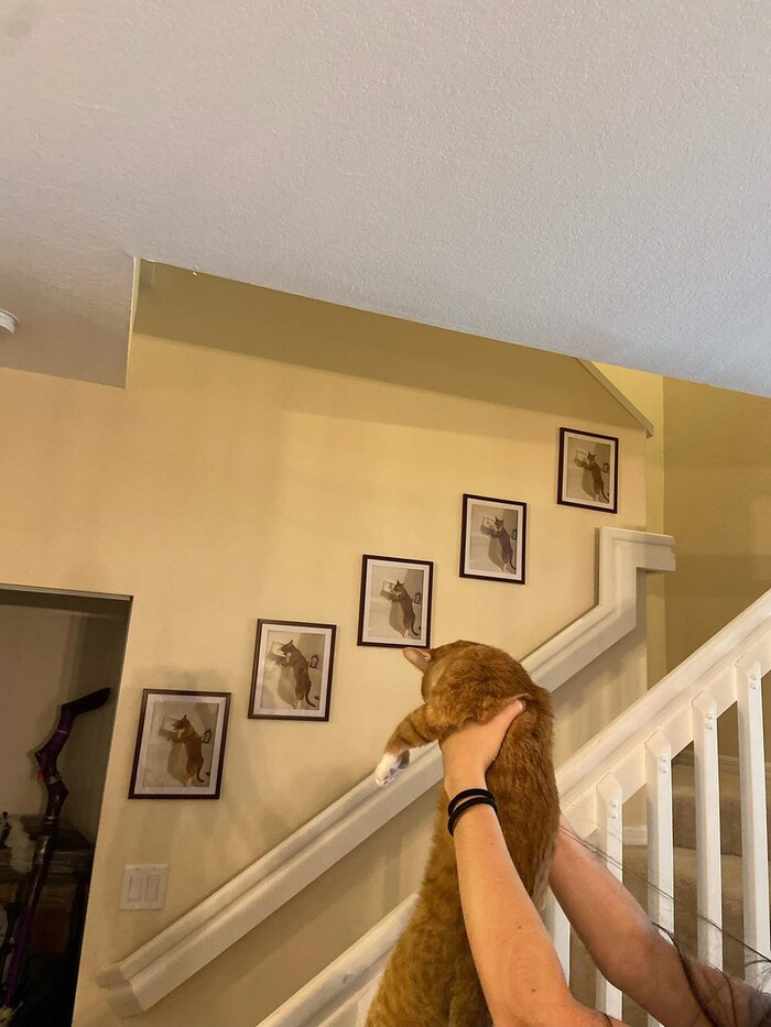   Ѩ ,  ,    ???!!!     .....