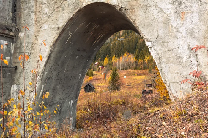 Portal to Autumn - Autumn, Gold, Golden Rain, Nature, Landscape, Arch, Usva, Usva pillars