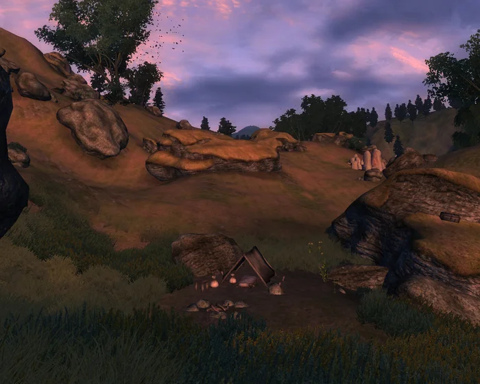 Field camp in Cyrodiil - My, Bethesda, The elder scrolls, The Elder Scrolls IV: Oblivion, Tamriel, Cyrodile, Camp, RPG, Nostalgia, Screenshot