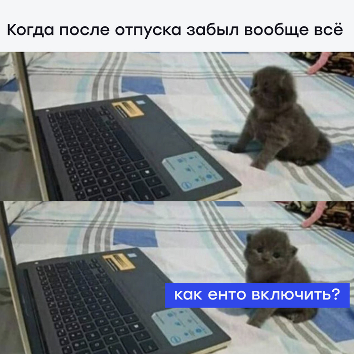 Давно в отпуске были?