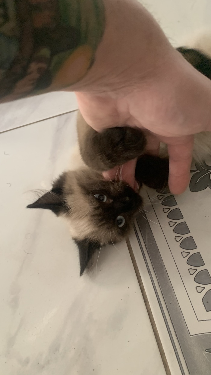 Утренний Кусь!