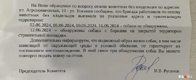 Жалобы в администрацию города ни к чему не привелиИсточник: читатель <!--noindex--><a href="https://pikabu.ru/story/shla_domoy__i_okazalas_v_travmpunkte_na_vtorchermete_zlobnyie_sobaki_iskusali_devushku_11923771?u=http%3A%2F%2FE1.RU&t=E1.RU&h=d14cb2f4849bc246a517d6332b909846dc263a36" title="http://E1.RU" target="_blank" rel="nofollow noopener">E1.RU</a><!--/noindex-->