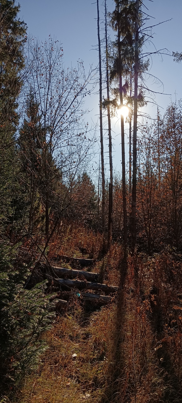 Природа Фотография, Природа, Длиннопост