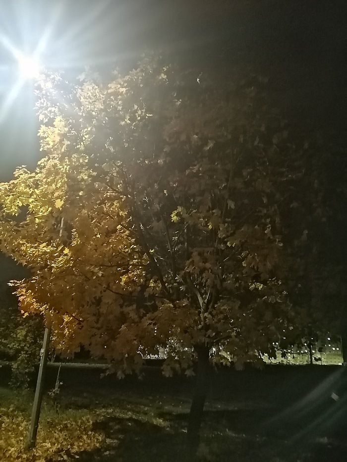  , , ,  , 