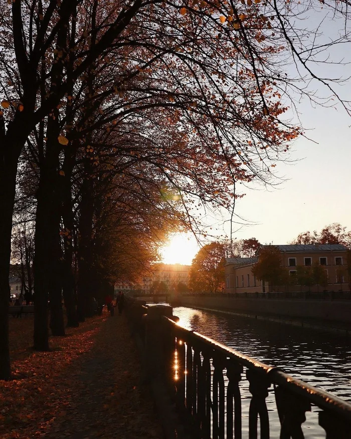 Autumn suits Peter very well - Telegram (link), Images, Observation, Saint Petersburg, Town, Autumn, Longpost