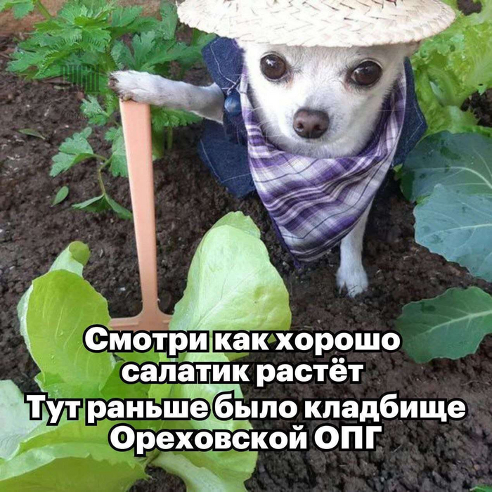     , ,  ,   , , , ,  