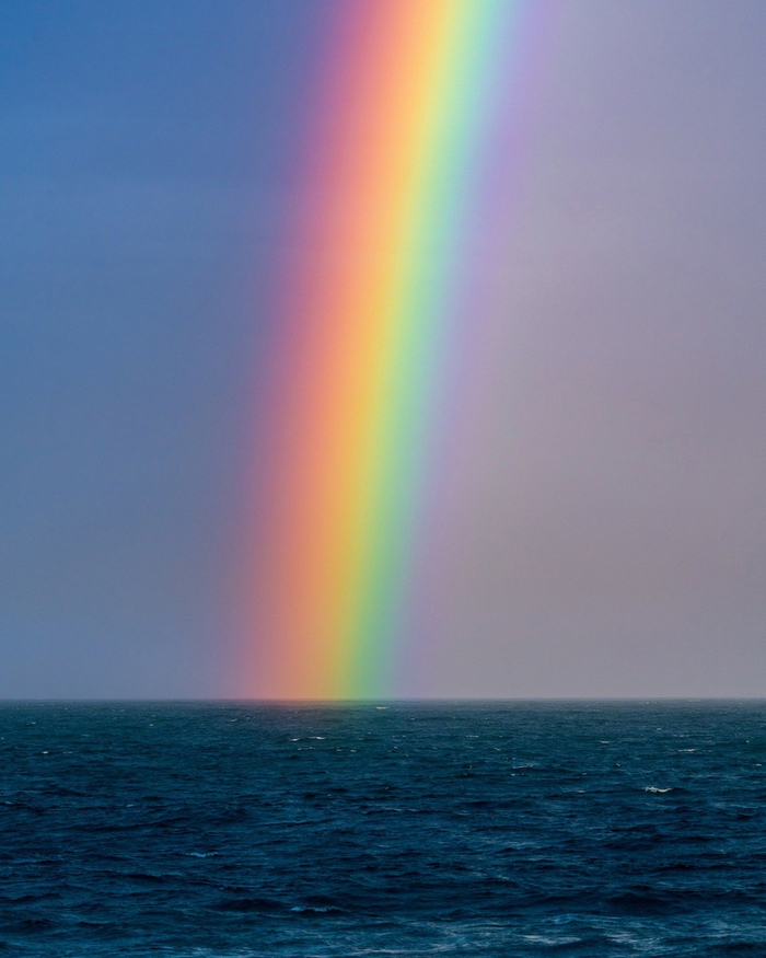 Rainbow , 