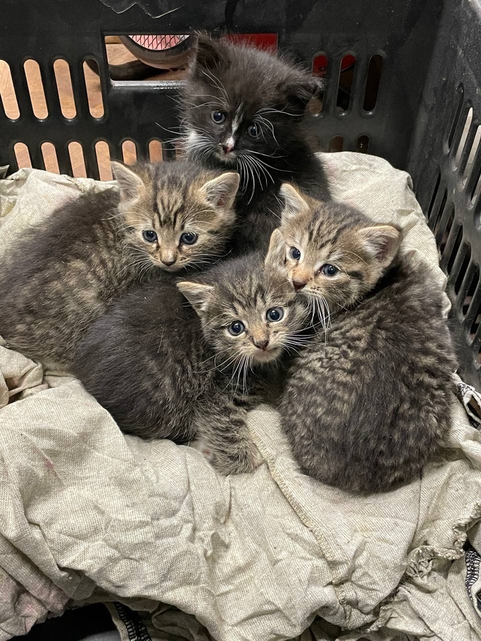 ������ � ������ ���� ���