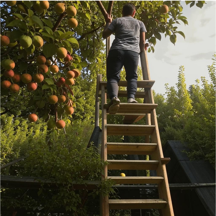 Вот, можно смеяться. Столько яблок, а он загадочно смотрит вдаль. И да, я вижу, у него ноша вместе с ботинком расслоилась. Но поскольку фотошопом не владею, ничего не могу с эти поделать, увы)