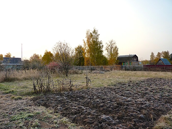 Первый заморозок