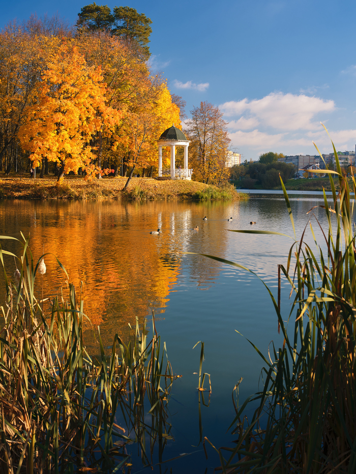 Fujifilm GFX 100 \ Fujifilm GF55mm F1.7 + полярик BENRO