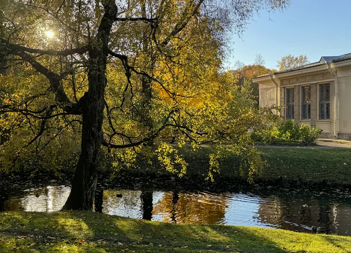 In the Tauride Garden - My, The photo, Saint Petersburg, City walk, Travels, Images, Tauride Garden, October, The park, Street photography, Autumn, Photo on sneaker, Walk, Landscape