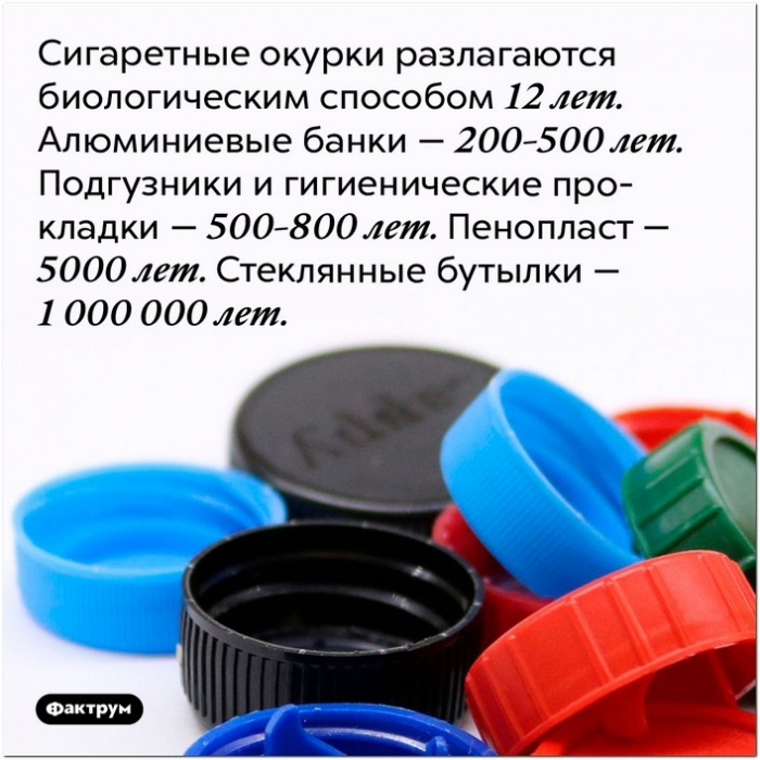 Интересные и удивительные факты (99-я очередная подборка) | Пикабу
