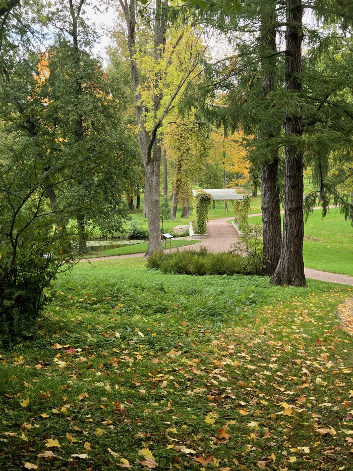 Ответ на пост «Погода» - Санкт-Петербург, Погода, Солнце, Позитив, Петергоф, Осень, Ответ на пост, Длиннопост