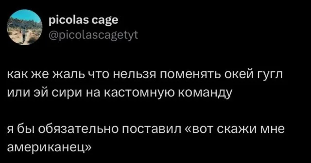 Ну правда, почему? - Приложения на смартфон, Голосовой помощник, Желание, Облом, Скриншот, Цитаты, Юмор