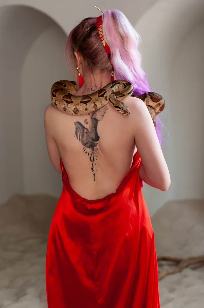 Girl with a crane tattoo - My, Girl with tattoo, Python, Asia, Cranes, The photo