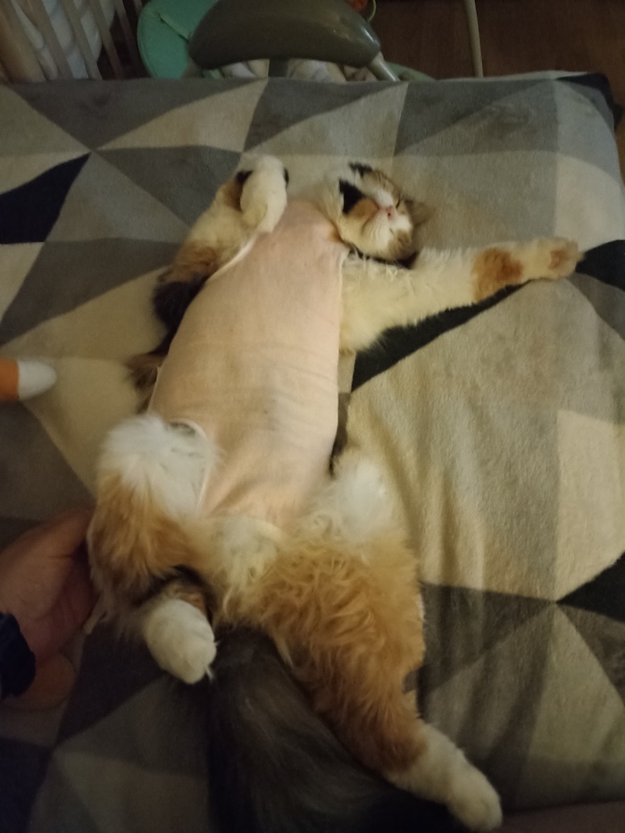 ������� �������. ��� �������� � ���� - ������!)