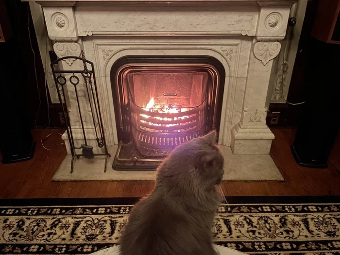 Coal fireplace - My, Personal experience, Victorian era, Fireplace, Coal, Mat, Longpost