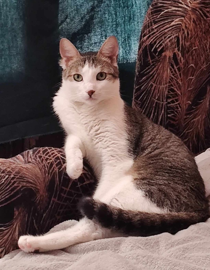 ����� ���������, ��� ��� ������ ���������� �� ������ ��������� �����.