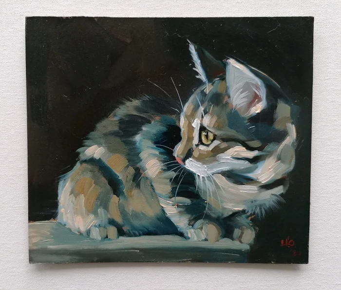 Study with a Tabby Kitten - My, Painting, cat, Oil painting, Pets, Artist, Etude, Animalistics, Author's painting, Kittens, Butter, Art, Painting