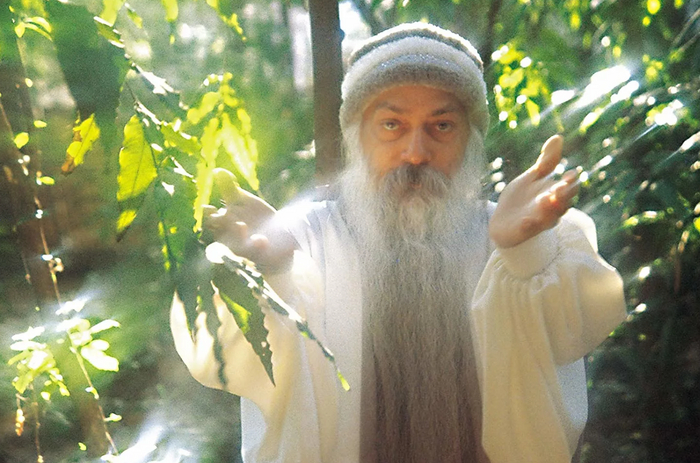  -  ,       ,             .   21      .