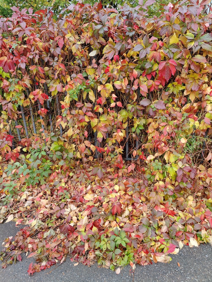 ����� ��������� ����� ���������� ������