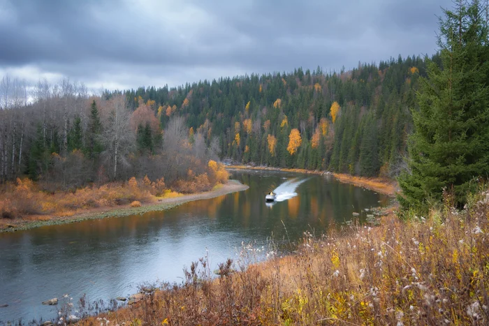 Осень на реке Усьва - Осень, Река, Поселок, Деревня, Моторная лодка, Моё, Фотография