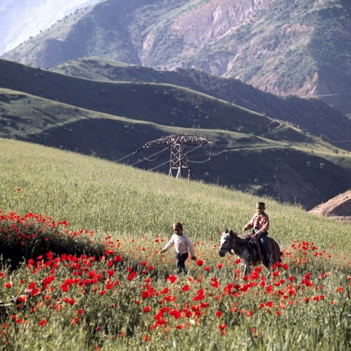 Tajik SSR, 1981/1982 - Tajik SSR, Tajikistan, the USSR, Made in USSR, Childhood in the USSR, beauty, Old photo, 80-е, Childhood memories, Film, Retro, Telegram (link), Longpost