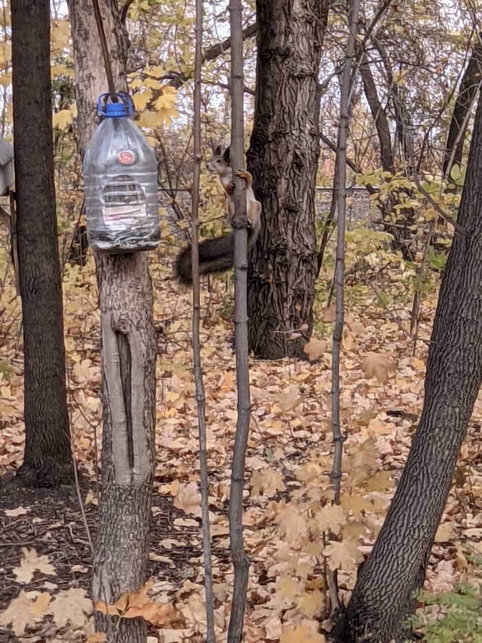 Отвлечёмся от темы котиков