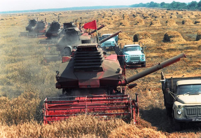 Уборочная страда в СССР, 1980-е годы - СССР, Уборка, Комбайн, Пшено, Поле, Детство в СССР, Сделано в СССР, Ретро, Село, Хлеб, Труд, Воспоминания из детства, Пленка, 80-е, Telegram (ссылка)