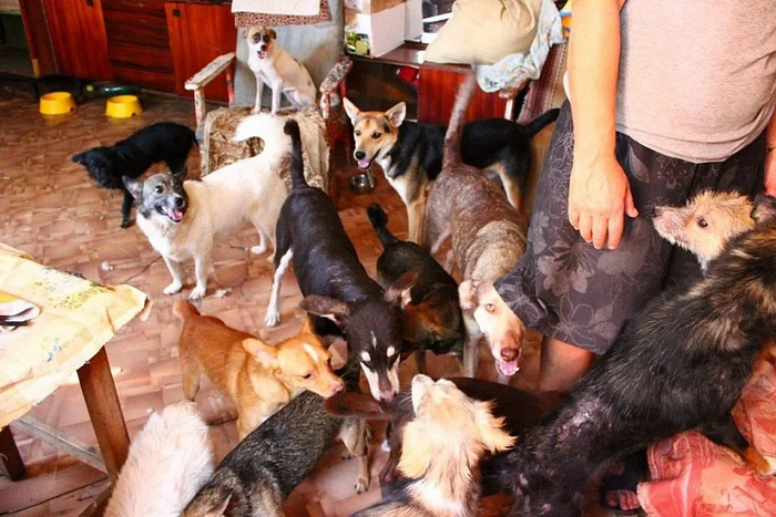 ��� ������ � ����������� �������� ��������� �������� ��������