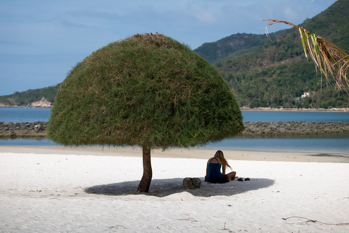 Ловушки мышления. Я и... кто-то ещё?