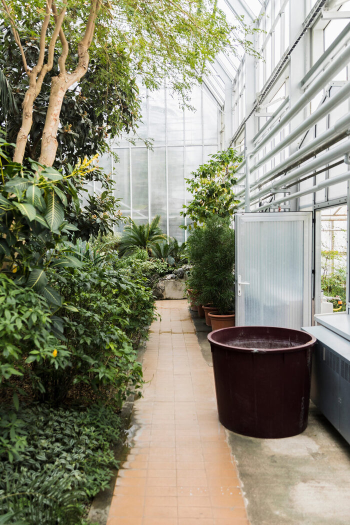 Стеклянные зимние сады: виды и особенности