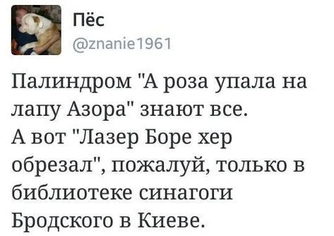 https://cs15.pikabu.ru/post_img/2024/10/19/7/1729337646195718417.webp