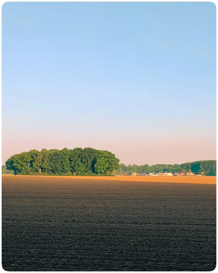 At sunset - My, The photo, Field, Arable land, Evening, Sky, Green trees