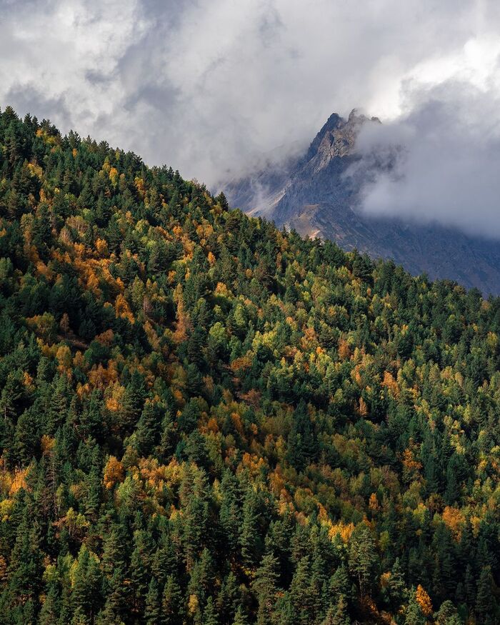 Autumn in Tlyaratinsky district, Republic of Dagestan - Nature, The photo, Dagestan, Caucasus, The mountains, wildlife, The nature of Russia, Autumn, Longpost