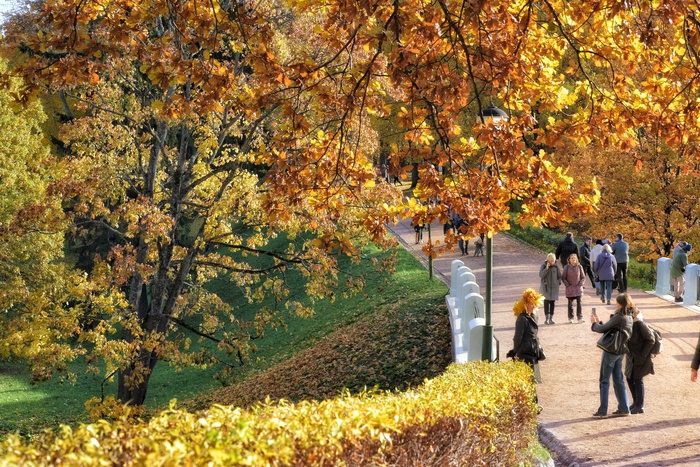 Ломоносов, река Караста