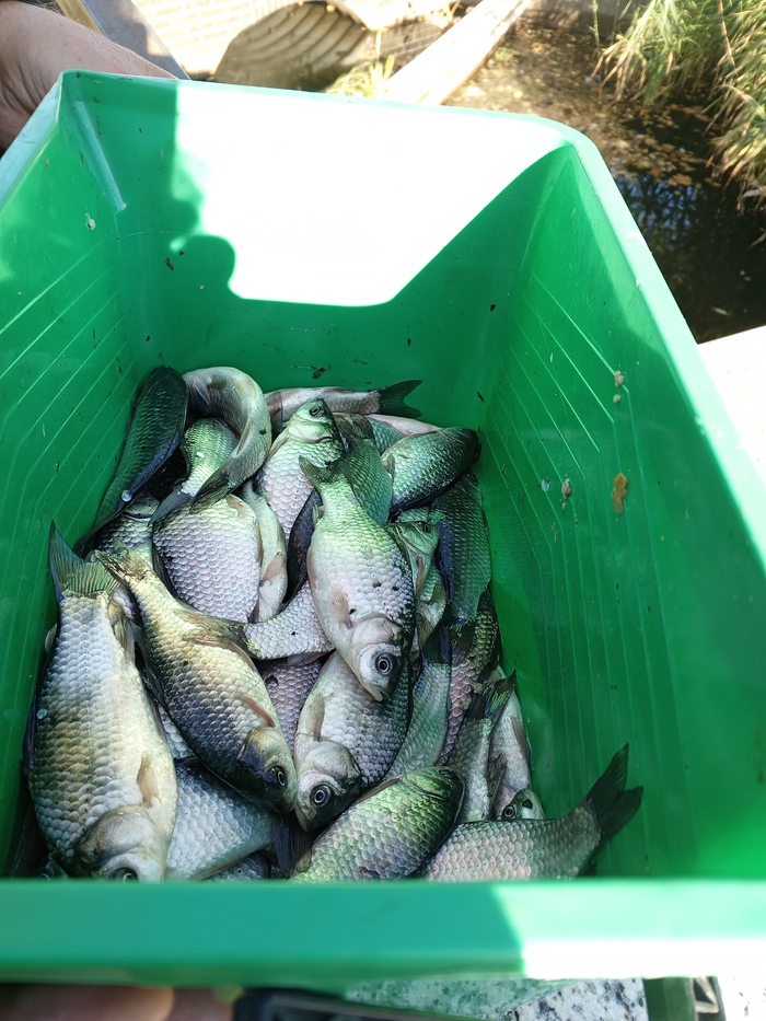 ���������� �������